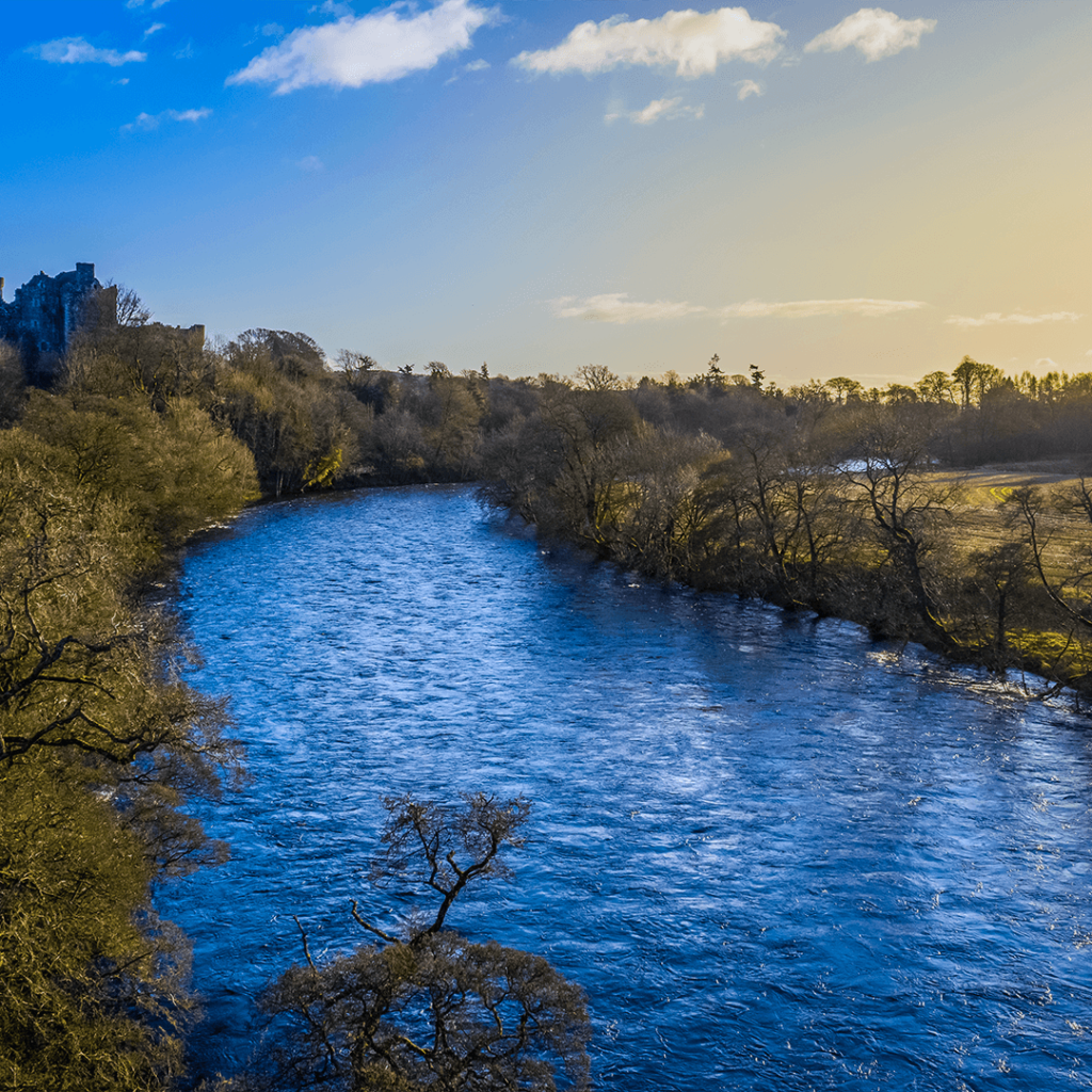 Aerial view of river banks for an environmental survey